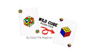Wild Cube by Zazza The Magician video - INSTANT DOWNLOAD - Merchant of Magic