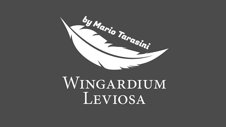 Wingardium Leviosa by Mario Tarasini - INSTANT DOWNLOAD - Merchant of Magic